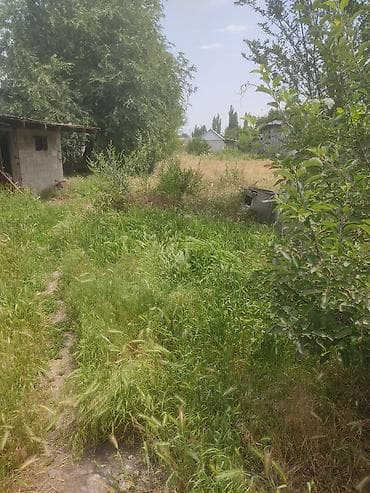 хостел с отдельными комнатами: 50 м², Без мебели — 6