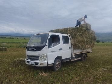 прием кукуруза: Прессованное сено в тюках - Натуральное луговое сено, заготовка с — 1