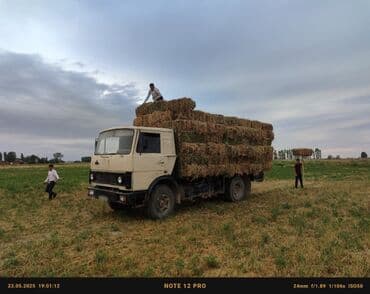 МАЗ продажу или менаяу