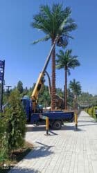 светового оборудования: Автовышка стрела 16М 220v за отдельную плату Минимальный выезд на — 14