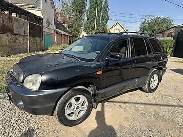 santa kruz: Hyundai Santa Fe: 2004 г., 2.7 л, Автомат, Бензин, Кроссовер — 3