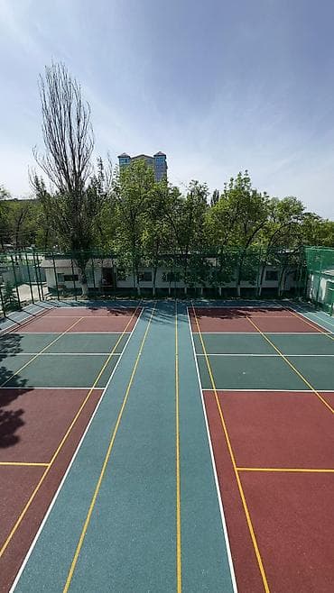 Книги и журналы: Разметка спортивных площадок под ключ Профессионально наносим — 2