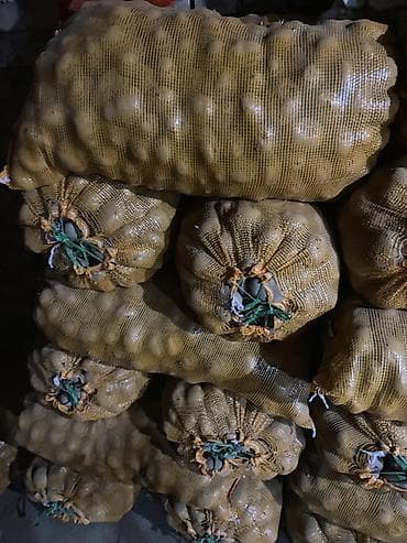 резка кафел: Картошка Пикассо, Оптом — 1