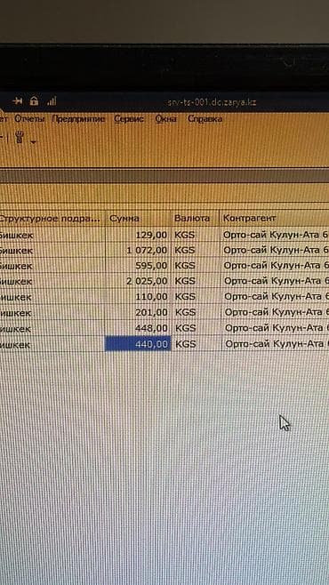 Отдам даром кошку: 7 месяцев, Мальчик, Приучена к лотку, Проглистована, С прививками — 2