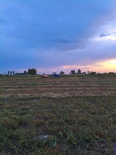 пчело пчёл: Срочно продам Сено в тюках (прямоугольные кипы) - Уборка сена с — 2