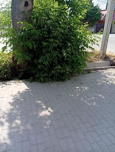аренда дом под швейный цех: Продаю дом под бизнес в хорошей локации под квартирантов или швейный — 7