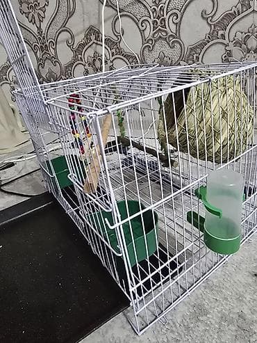 Клетка для мелких птиц с комплектом аксессуаров. - Размеры корпуса