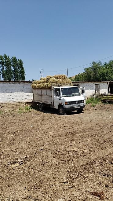 козу сатылат бишкек: Доставка гигант мерс — 1