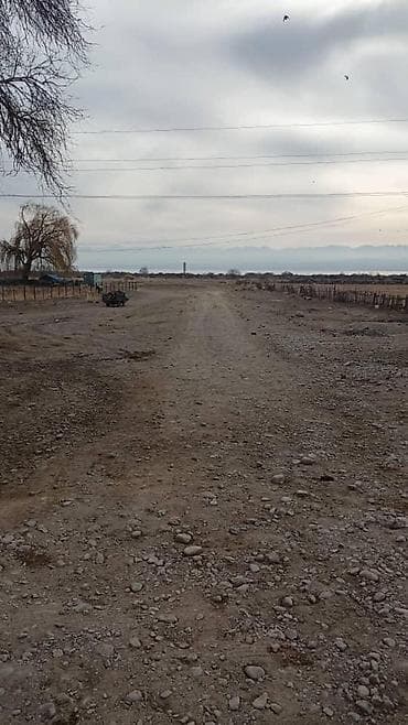 аренда участков: 20 соток, Для бизнеса, Красная книга — 4