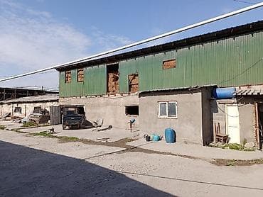 постройка: Farm КРС, 30 соток, Действующий, Частично с оборудованием, Электричество — 2