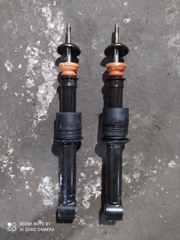 бакту долонотуу: С выездом — 22