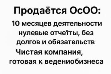 Продается общество с ограниченной ответственностью (ОсОО) с 11