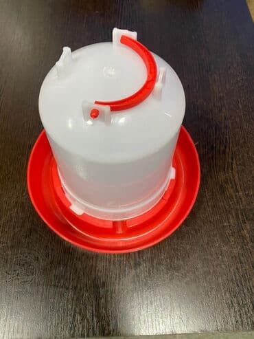 корм для кошек оптом бишкек: Продаю кормушки,поилки Нипильные оптом и в розницу — 4