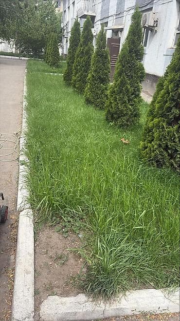 копаю огород: Уборка территории, Стрижка газона — 3