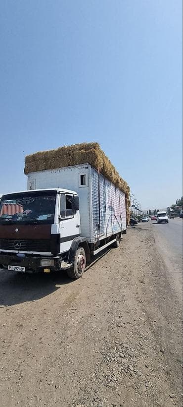 mers banan: Mercedes-Benz : 1996 г., Дизель — 2