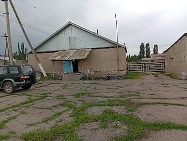 продажа ферм: Продается готовый бизнес, молчный ферма, сельхоз техника, площадь — 1
