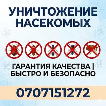 mac safe: Дезинфекция, дезинсекция, | Вирусы, микробы, Блохи, Клопы, | Дома, Квартиры, Подвал, погреб — 1