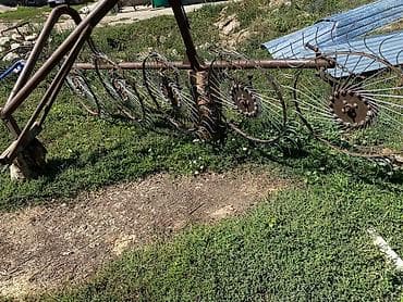 taiota previa: Грабли для сена представляют собой сельскохозяйственное орудие — 2