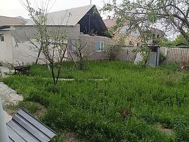 Продаётся частный дом с хозяйственными постройками и зелёным участком — 3