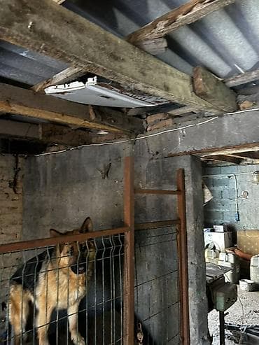 клетка для кур: Вольер для собаки из металла с дверцей - Конструкция: каркас из — 6