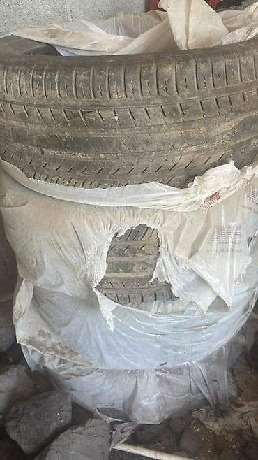 Унаа: Летние шины Barum Bravuris 5HM Ecoplus SUV - Размер: 285/50 ZR20 116W — 1