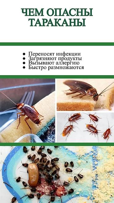 подъезды: Дезинфекция, дезинсекция, | Клопы, Блохи, Тараканы, | Транспорт, Офисы, Квартиры — 4