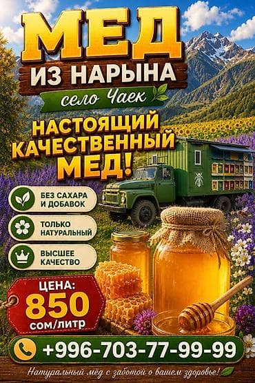 Продукты питания: Мёд из Нарына, село Чаек - Настоящий качественный мёд - Без сахара и — 1