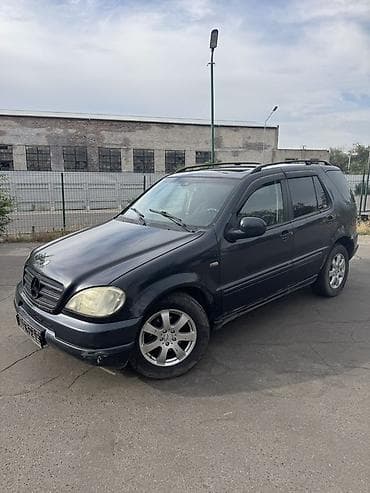 m класс: Mercedes-Benz ML-Class: 2002 г., 2.7 л, Автомат, Дизель, Кроссовер — 10