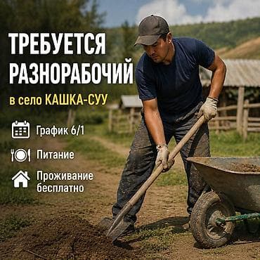 Требуется разнорабочий в питомник в село КАШКА СУУ, возраст от 18-45