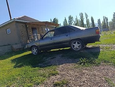 Audi 100: 1988 г., Механика, Седан