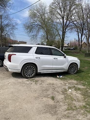 hyundai polisat: Hyundai Palisade: 2022 г., 2.2 л, Робот, Дизель, Кроссовер — 8