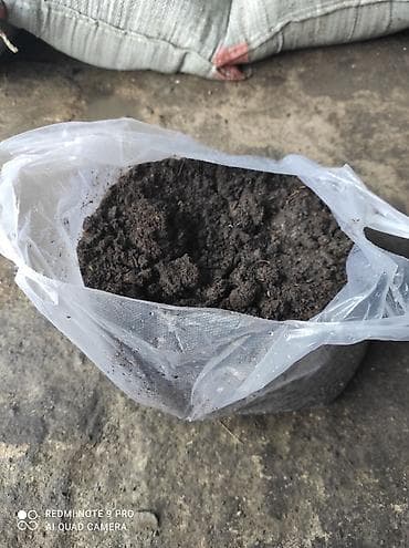 биогумус соолжан: Кара кык – огородуңуз үчүн эң мыкты табигый жер семирткич! 🌱 Бакчаңыз — 2