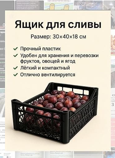 ящик сундук: Ящик для сливы Размер: 40/30/18 см - Прочный пластик - Удобен для — 3