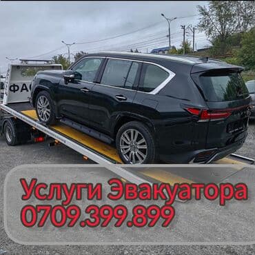 С лебедкой, С манипулятором