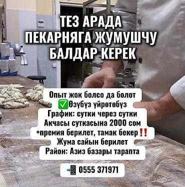 Требуется Пекарь, Оплата: Еженедельно, Без опыта