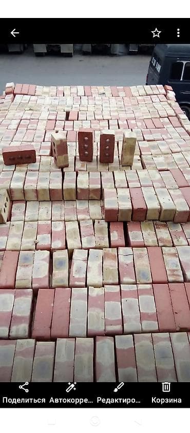 кости окорочка: Керамический, Гладкий, Пустотелый, дырчатый кирпич, Одинарный, 250×120×65 — 3