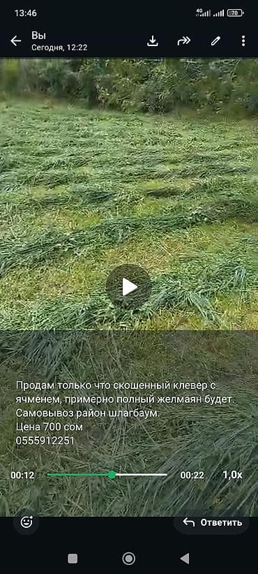 куплю мёд: Продам свежескошенный клевер с ячменем, примерно полный желмаян будет — 1