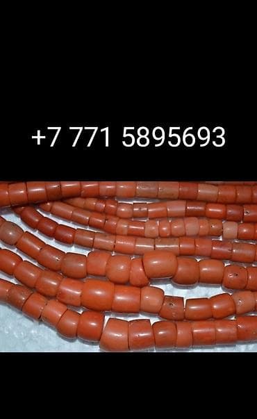 мужские кожаные сумки бишкек: КУПЛЮ старинные коралловые бусы эски шуру мончок сатып алуу — 1