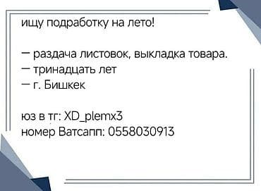 работа промоутера в бишкеке: Подработка на лето - Раздача листовок, выкладка товара - Возраст: 13 — 1