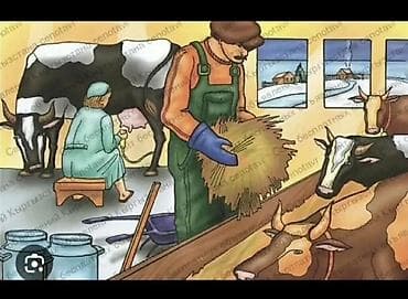 няня к себе: Требуется даярка для дойки коров 15голов, нет аппарата, Уй сааганы — 1