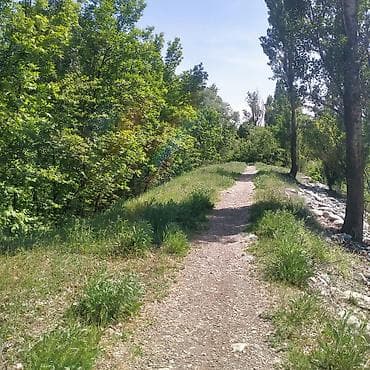 участок белек: 5 соток, Для строительства, Красная книга, Договор купли-продажи — 4