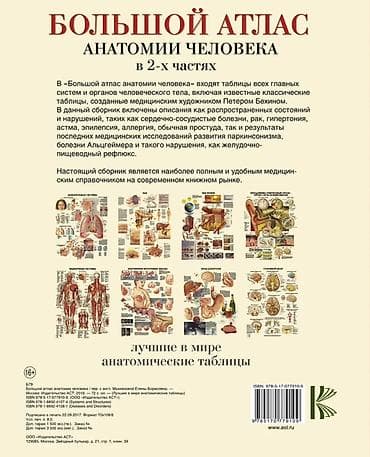 Книги и журналы: Большой атлас анатомии человека (в 2-х частях) Иллюстрированное — 2