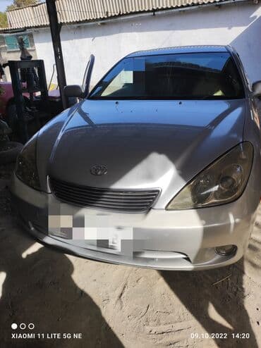 на виндом: Без выезда — 2