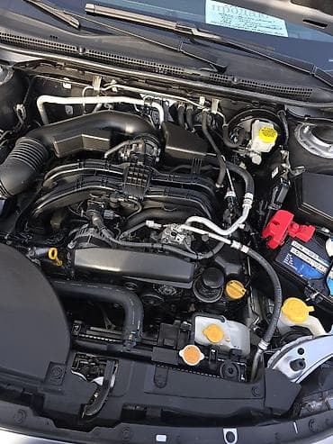 Транспорт: Subaru Outback: 2020 г., 2.5 л, Автомат, Бензин, Универсал — 7