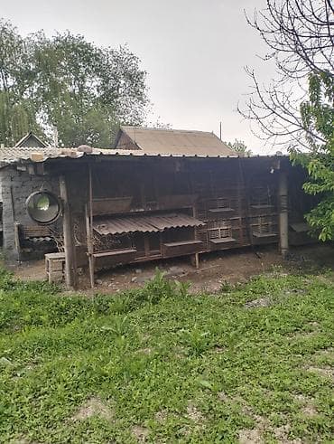 распродажа гаража: Продаётся дом в селе Будённовка с участком 18 соток.Помимо дома — 9