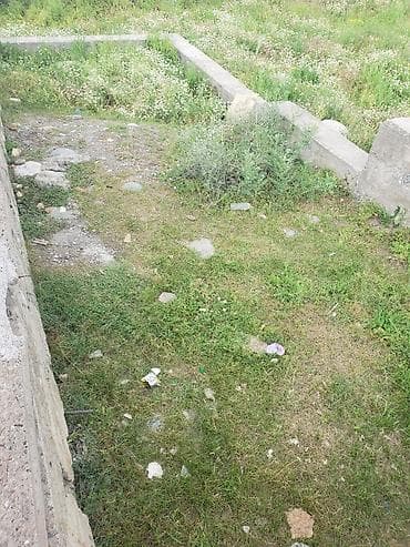 royal yard: 5000 соток, Для сельского хозяйства, Тех паспорт — 3