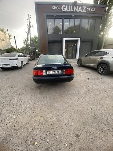 daf 2013: Audi 100: 1991 г., 2.3 л, Механика, Бензин, Седан — 2