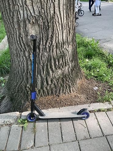 tech deck: Самокат, Трюковой, Б/у, Самовывоз — 1