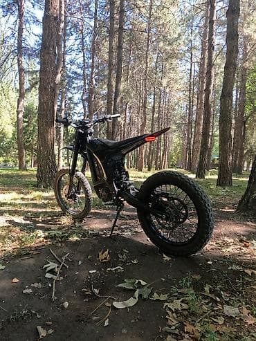 Arctic leopard ex pro s Электробайк/электромотоцикл класса легкого
