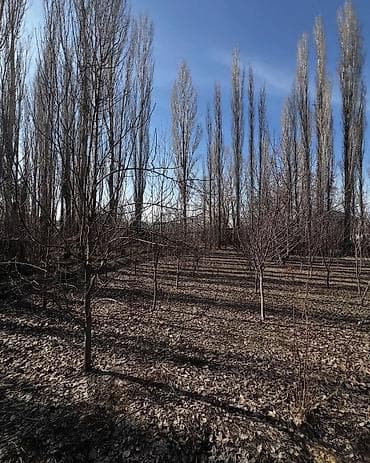 Үйдү ижарага алам: Продаётся дом 160 м² на участке 17,72 сотки правильной формы (21×85 — 10